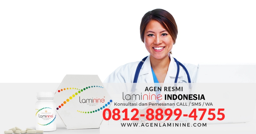 WA 0812-8899-4755 - Agen Obat Laminine, Distributor Resmi Laminine